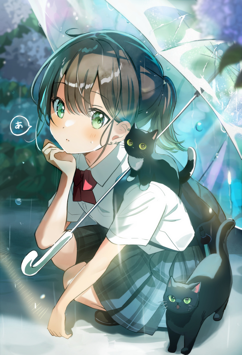 1girl :o bag black_cat blush bow bowtie brown_hair cat collarbone collared_shirt colored_sclera ear_ornament earrings green_eyes hand_on_own_chin highres jewelry kitten original outdoors pleated_skirt ponytail rain red_bow red_bowtie school_bag school_uniform shirt short_hair short_sleeves skirt solo squatting strap stud_earrings tasuku_(otomebotan) transparent transparent_umbrella umbrella umbrella_on_arm water_drop wet whiskers white_shirt yellow_sclera