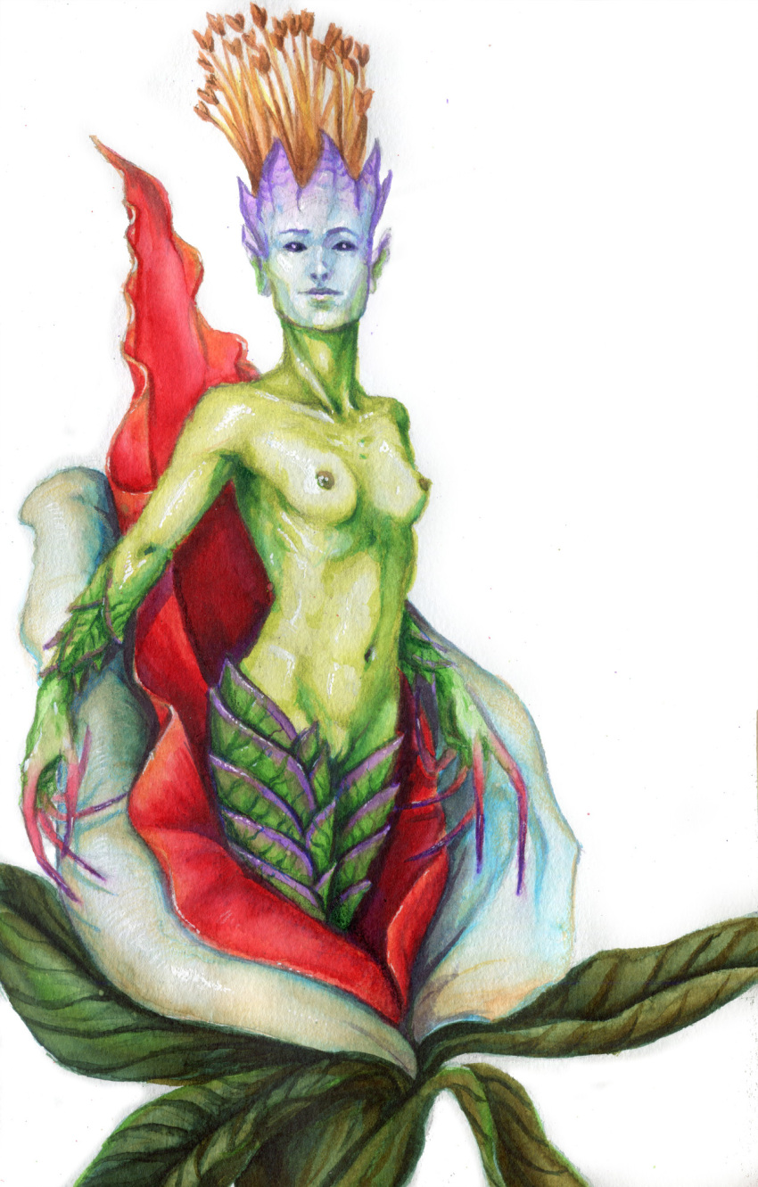 5_fingers areola black_eyes breasts brenton_smith dryad elemental_creature fingers flora_fauna genitals green_body hi_res humanoid humanoid_pointy_ears leaf lips long_fingers looking_at_viewer medium_breasts navel nipples non-mammal_breasts nude painting_(artwork) plant pussy simple_background solo traditional_media_(artwork) watercolor_(artwork) white_background
