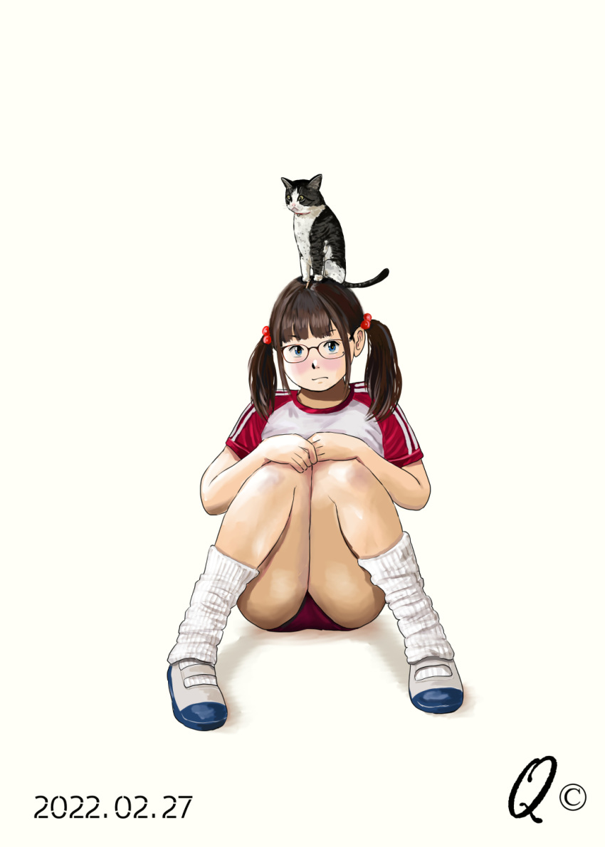 1girl animal_on_head blue_eyes blush brown_hair buruma cat cat_on_head dated full_body glasses gym_uniform hair_bobbles hair_ornament highres knees_up loose_socks on_head original q98780409 red_buruma school_uniform short_sleeves short_twintails simple_background sitting socks solo twintails white_background white_socks