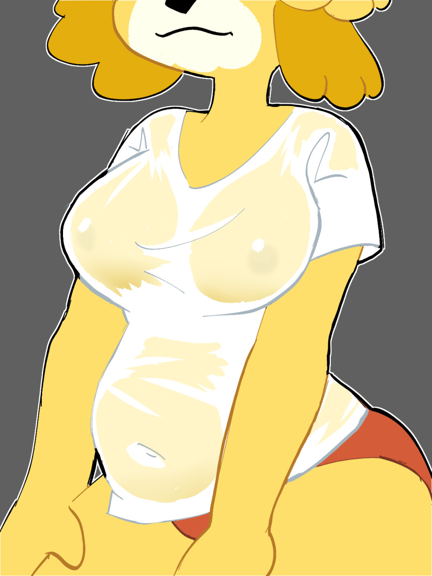 animal_crossing anthro areola_outline big_breasts breasts canid canine canis clothing digital_media_(artwork) domestic_dog female hand_on_leg hand_on_thigh hi_res isabelle_(animal_crossing) mammal navel_outline nintendo nipples panties pantsless potbelly shih_tzu shirt slightly_chubby solo strawberrywith4 t-shirt topwear torso_shot toy_dog translucent translucent_clothing underwear wet wet_clothing wet_shirt wet_topwear yellow_body yellow_nipples