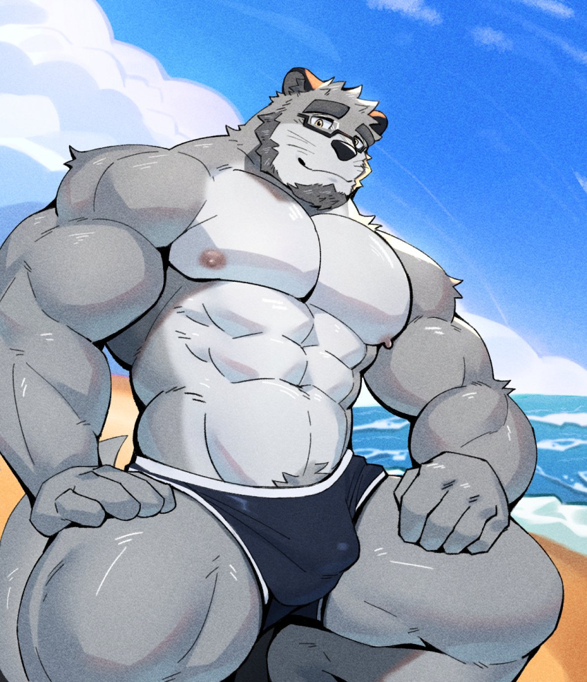 2023 anthro aquaticrecon beach beard biceps blue_clothing blue_sky blue_underwear bulge clothed clothing cloud day deltoids eyewear facial_hair fur glasses goatee grey_body grey_eyes grey_fur grey_hair hair hi_res male mammal muscular muscular_anthro muscular_male muscular_thighs mustelid navel nipples otter pecs pubes sand sea seaside sideburns siggy_(storiaxion) sky smile solo underwear underwear_only water wave whiskers