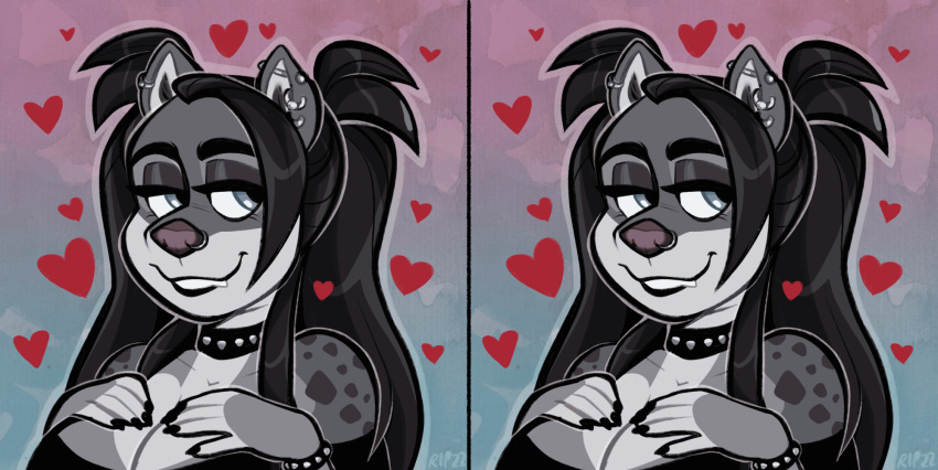 &lt;3 animated anthro black_hair canid canine canis collar domestic_dog domino_(cadaverrdog) ear_piercing ear_ring facial_piercing fangs female fleetwoodbrak fur grey_body grey_fur grey_spots grin hair half-closed_eyes hi_res long_hair mammal markings mixed_breed multicolored_body multicolored_fur narrowed_eyes nonbinary_(lore) nose_piercing nose_ring piercing pigtails pomsky ring_piercing simple_background smile solo spots spotted_body spotted_fur spotted_markings studded_bracelet studded_collar teeth two_tone_body two_tone_fur