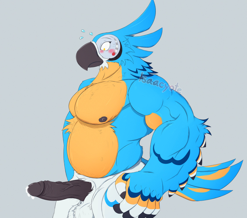 absurd_res anthro ball_tuft balls beak belly belly_tuft big_penis blue_body blue_feathers blush bodily_fluids bodily_fluids_on_penis breath_of_the_wild chest_tuft cum cum_on_penis digital_media_(artwork) dripping feathered_tail feathers fuzzy_balls genital_fluids genitals hi_res humanoid_genitalia humanoid_penis isaacyote_(artist) kass_(tloz) male muscle_tone musclegut muscular muscular_anthro muscular_male nintendo nipples nude nude_male pecs penis precum precum_drip pubes shocked_expression solo standing tail the_legend_of_zelda tuft vein veiny_penis white_body white_feathers wings yellow_body yellow_feathers