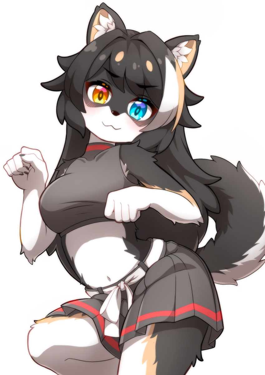 2023 5_fingers anthro black_hair black_nose blue_eyes blush bottomwear breasts canid canine canis claws clothed clothing digital_media_(artwork) domestic_dog ev_(artist) female female_anthro finger_claws fingers fur grey_body grey_fur hair heterochromia hi_res inner_ear_fluff kemono looking_at_viewer mammal midriff multicolored_body multicolored_fur multicolored_hair multicolored_tail navel paw_pose portrait pose red_eyes shiba_inu shorts simple_background solo spitz tail tan_body tan_fur tan_hair three-quarter_portrait tuft white_background white_body white_fur white_hair