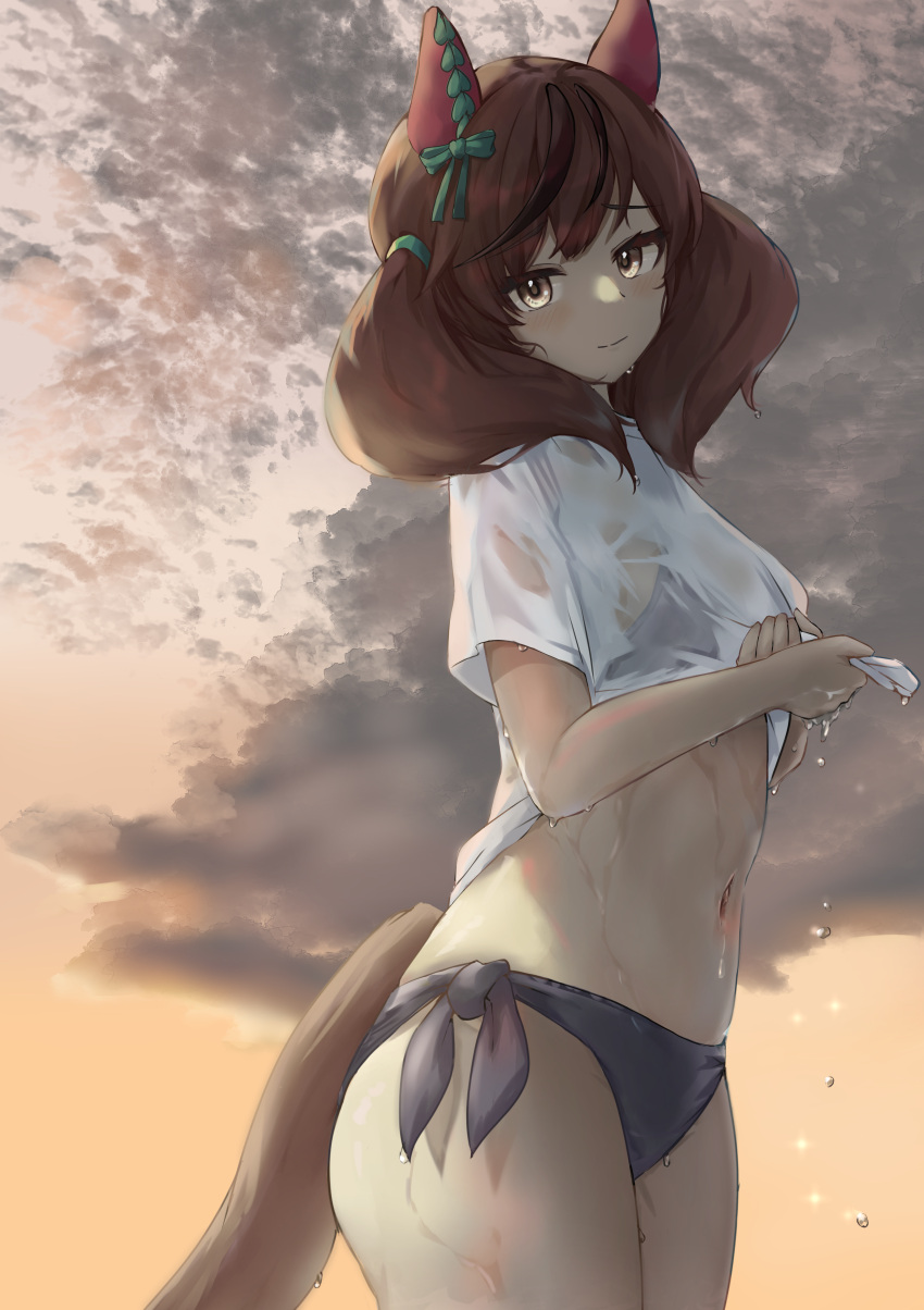 1girl absurdres animal_ears bikini bikini_under_clothes black_bikini brown_eyes brown_hair closed_mouth cloud gradient_sky highres horse_ears horse_girl horse_tail looking_at_viewer medium_hair miyama_mizuki_(hoshihoshi1220) navel nice_nature_(umamusume) orange_sky outdoors shirt side-tie_bikini_bottom skirt sky smile solo standing stomach swimsuit tail twintails umamusume wet wet_clothes wet_shirt white_shirt wringing_clothes wringing_skirt