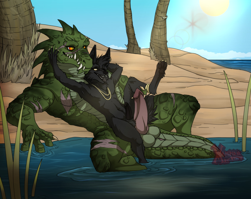 2023 alligator alligatorid anthro anubian_jackal balls beach black_body black_fur canid canine canis claws crocodilian duo erection feet fur genitals green_body green_scales jackal jewelry larger_male male male/male mammal naz'akh necklace nude pawpads paws penis plant reptile rilohn sand scales scalie scar scars_all_over seaside sitting size_difference smaller_male spread_legs spreading straddling_penis teeth tongue tongue_out tree vampirika water waterside