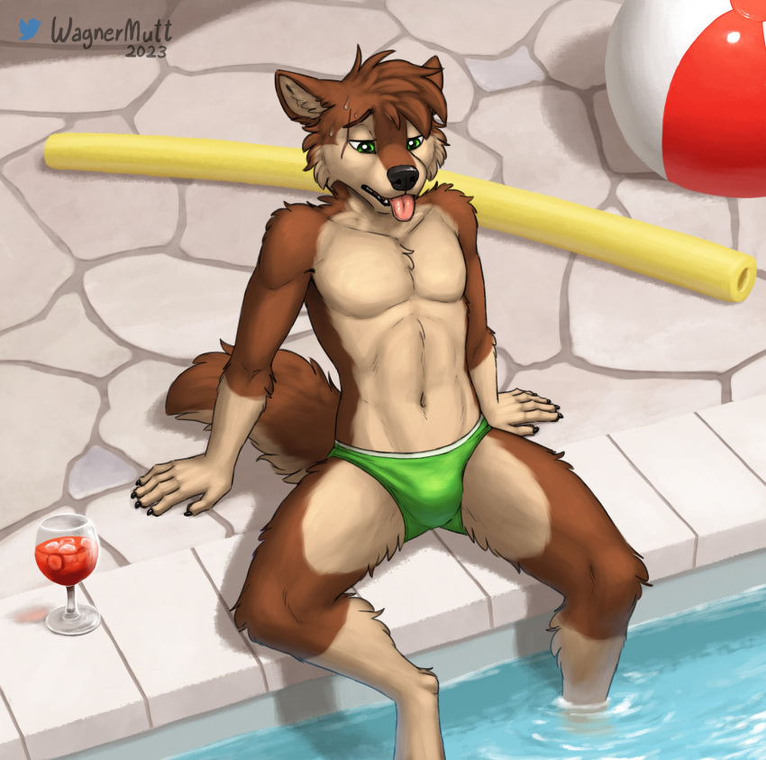 2023 absurd_res anthro athletic athletic_male ball beach_ball beverage brown_body brown_fur canid canine canis clothed clothing domestic_dog fur glass green_eyes hi_res inflatable male mammal mutt_(wagnermutt) pool_noodle scar solo speedo swimming_pool swimwear tongue tongue_out topless wagnermutt