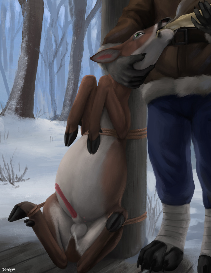 against_surface animal_genitalia animal_penis anthro balls belly big_belly bloated bound brown_body brown_fur canid canine canis capreoline cervine_genitalia cervine_penis cloven_hooves countershading deer detailed_background difetra digital_media_(artwork) dominant dominant_anthro drinking duo eggnog erection feral feral_focus force_feeding forced forest fur genitals hi_res hooves interspecies legs_tied looking_up male male/male mammal neck_grab outside penis plant quadruped restrained sheath sitting snow solo_focus spread_legs spreading submissive submissive_feral tree white-tailed_deer white_body white_countershading white_fur wolf