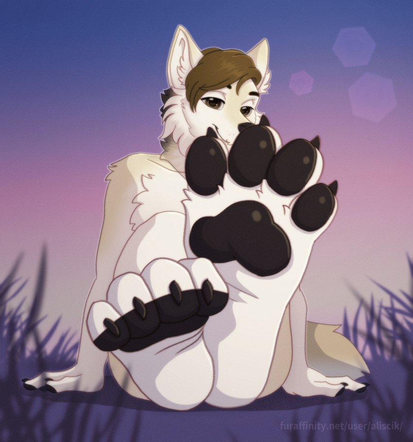 aliscik animated anthro canid canine canis claws dusk feet foot_fetish grass hi_res male mammal outside pawpads paws plant sabbyth solo teasing toe_pads toes twilight wiggle wolf
