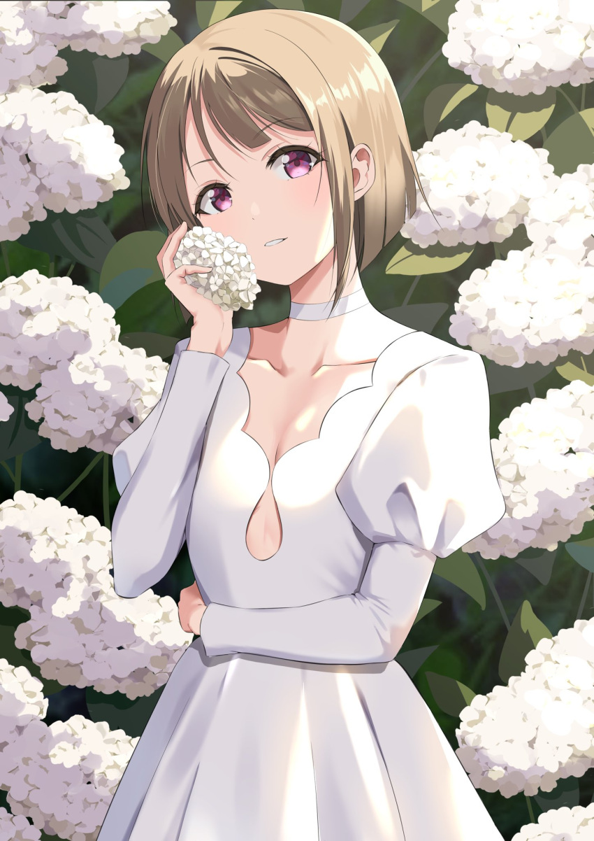 1girl arm_across_waist arm_up asymmetrical_hair bob_cut breasts choker cleavage clothing_cutout collarbone commentary cutout_above_navel dress flower flower_on_cheek gorilla-shi hand_to_own_face head_tilt highres holding holding_flower hydrangea leaf light_brown_hair looking_at_viewer love_live! love_live!_nijigasaki_high_school_idol_club nakasu_kasumi purple_eyes short_hair sidelocks small_breasts smile solo swept_bangs white_choker white_dress white_flower