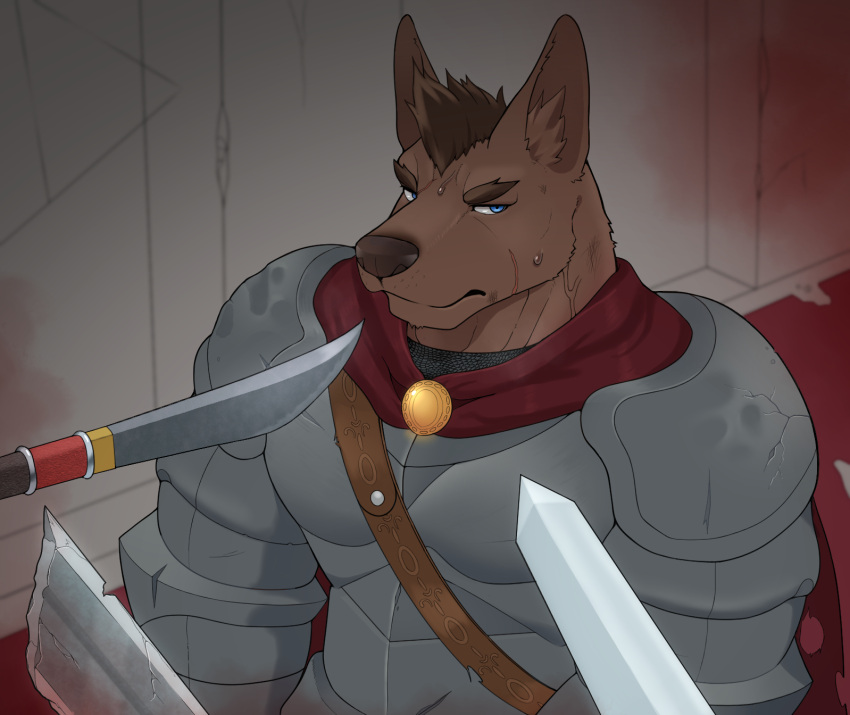 anthro armor belt blue_eyes bodily_fluids broken_sword brown_body brown_fur canid canine canis cape chainmail clothing defeated domestic_dog full_armor fur gekishiro group hair hi_res inside male mammal melee_weapon polearm scar spear sweat sword threatening trio vein weapon