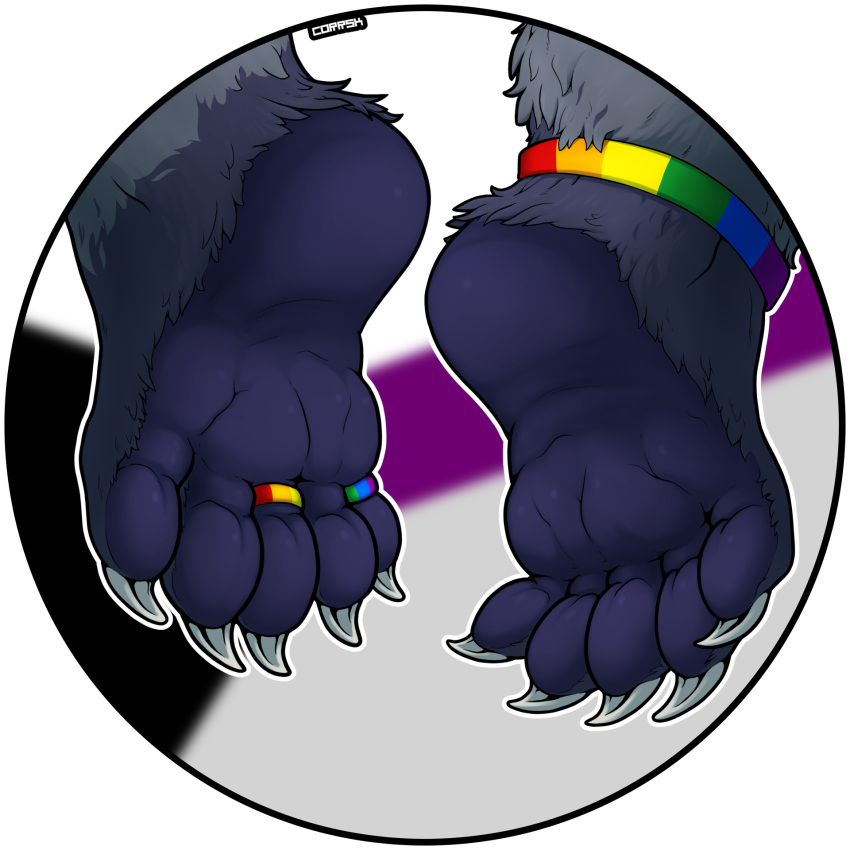 anthro barefoot binturong corrsk demisexual_pride_colors digit_ring digital_media_(artwork) feet foot_fetish foot_focus hi_res jewelry lgbt_pride male mammal paws plantigrade pride_colors rainbow_pride_colors ring simple_background soles solo toe_ring toes viverrid