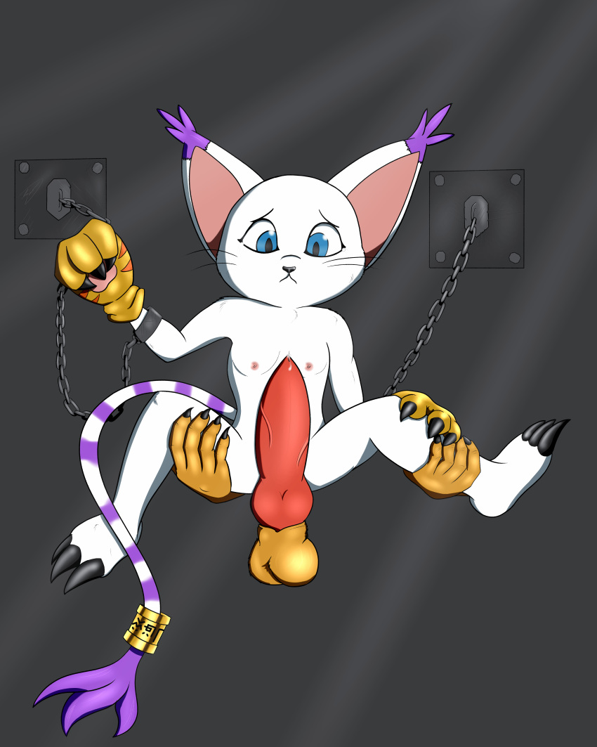 3_fingers 3_fingers_gloves 3_toes 4:5 absurd_res animal_genitalia animal_penis anthro balls bandai_namco bdsm big_ears black_nose blue_eyes bodily_fluids bondage bound breasts chain chained chest_tuft claws clothing cuff_(restraint) digimon digimon_(species) digital_media_(artwork) disembodied_hand disembodied_penis duo erection feet felid feline felis female female_focus fingers forced fur gatomon genitals gloves handcuffs handwear handwear_only held_up hi_res jewelry long_tail looking_scared male male/female mammal markings metal_cuffs mohrlex mostly_nude nipples nude nude_anthro penis rape restrained restraints scared scratch_mark simple_background small_breasts solo solo_focus stripes tail tears toes tuft whiskers white_body white_fur
