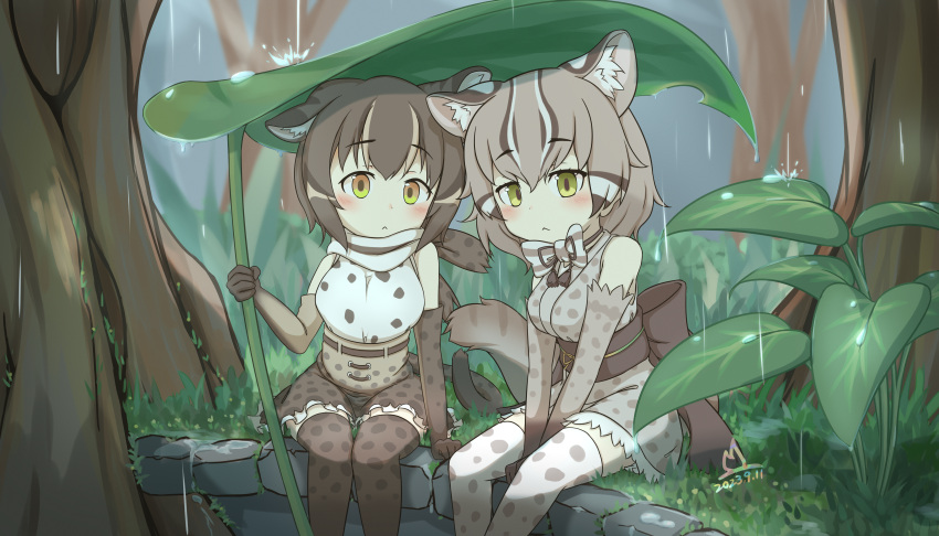 2girls :&lt; absurdres animal_ear_fluff animal_ears animal_print back_bow bare_shoulders belt blurry blurry_background blush bow bowtie brown_hair cat_ears cat_girl cat_print cat_tail chibi closed_mouth dated day elbow_gloves extra_ears feet_out_of_frame giant_leaf gloves grass green_eyes grey_hair hair_between_eyes high-waist_skirt highres holding holding_leaf iriomote_cat_(kemono_friends) kemono_friends kemono_friends_3 leaf leaf_umbrella light_brown_hair looking_at_viewer medium_hair multicolored_hair multiple_girls on_grass onefiresticks outdoors print_bow print_bowtie print_gloves print_shirt print_skirt print_thighhighs rain sash scarf shirt side-by-side sitting skirt sleeveless sleeveless_shirt tail thighhighs tree tsushima_leopard_cat_(kemono_friends) v_arms water yellow_eyes zettai_ryouiki