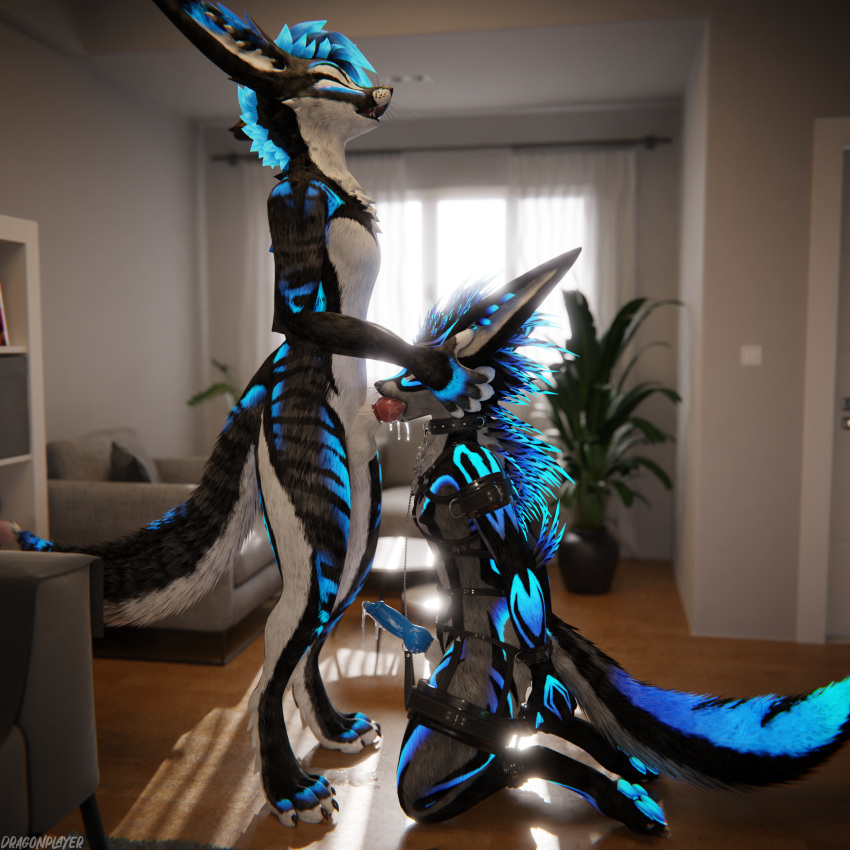 1:1 3d_(artwork) 4k absurd_res animal_genitalia animal_penis anthro anthro_on_anthro arms_tied balls bdsm biped blender_(software) blender_cycles blue_body blue_penis bodily_fluids bondage bondage_gear bound canid canine canine_genitalia canine_penis claws clothing collar cuff_(restraint) cuffs_(clothing) cum cum_dripping_from_penis cum_in_mouth cum_inside cum_on_face cum_on_ground cum_on_penis cumshot depth_of_field digital_media_(artwork) dominant dominant_male dragonplayer dragonplayer_(character) duo ejaculation erection eyes_closed feet fellatio forced forced_fellatio fox fur genital_fluids genitals hair hand_on_head hands_on_back harness hi_res hindpaw inside kneeling kneeling_oral_position knot latex latex_clothing leash leashed_collar legs_tied legwear living_room male male/male mammal masturbation multicolored_body nickofox on_ground open_mouth oral oral_masturbation oral_penetration orgasm orgasm_face paws penetration penile penis penis_in_mouth pink_penis pushing reflection restraints rexouium sex slim slim_anthro slim_male slim_sub spreader_bar standing submissive submissive_male tail tight_clothing toes white_body