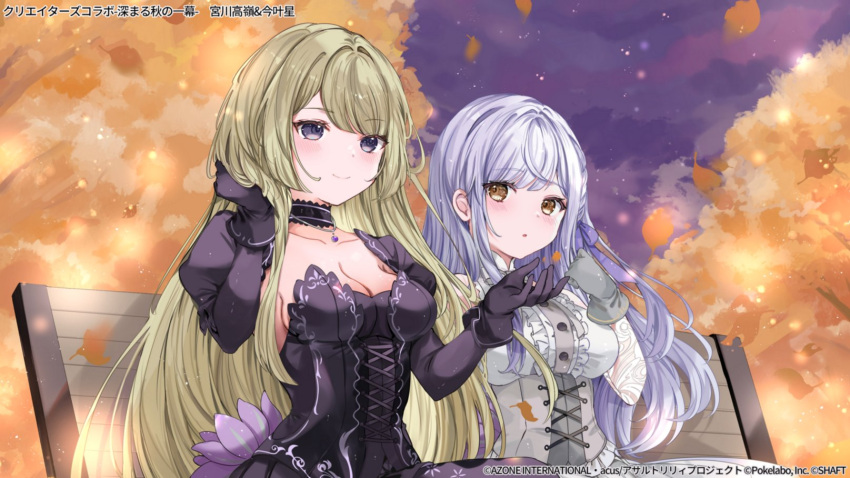 2girls assault_lily autumn autumn_leaves bench black_collar black_dress black_gloves blonde_hair blush braid breasts buttons center_frills cleavage closed_mouth collar collarbone commentary_request cross-laced_clothes cross-laced_dress detached_sleeves dress dress_flower falling_leaves flower frilled_dress frills gloves grey_gloves grey_hair hair_ribbon hand_in_own_hair hand_up hands_up highres hinakisara jewelry juliet_sleeves kon_kanaho layered_dress leaf light_particles long_hair long_sleeves looking_ahead looking_at_another looking_to_the_side medium_breasts miyagawa_takane multiple_girls necklace night official_alternate_costume official_art outdoors park_bench parted_lips pendant puffy_sleeves purple_eyes purple_flower purple_ribbon ribbon side_braid sidelocks sideways_glance sitting sleeveless sleeveless_dress smile strapless strapless_dress tree very_long_hair watermark wavy_hair yellow_eyes