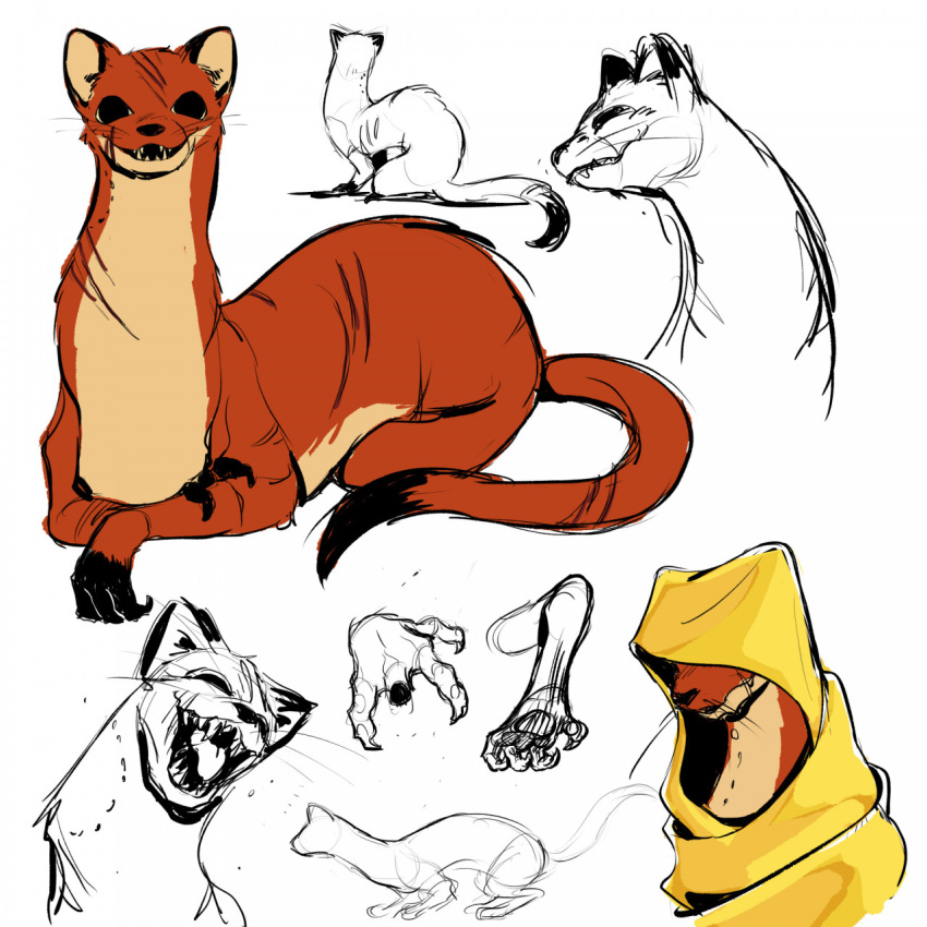 female hi_res hood hooded looking_at_viewer mammal meroko_meyoko mouse_guard mustelid musteline scar scars_all_over semi-anthro simple_background solo true_musteline weasel white_background zada_(fan_character)