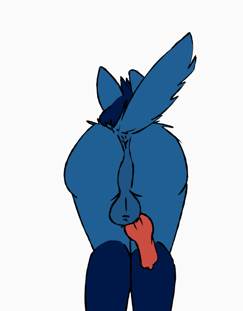 2023 animal_genitalia animal_penis animated anthro anus backsack balls biped blue_anus blue_body blue_fur blue_hair butt canid canine_genitalia canine_penis erection flat_colors frame_by_frame fur generation_4_pokemon genitals hair hi_res knot leg_markings looking_at_viewer loop lucario male mammal markings night_(night_bandit) nintendo penis perineum phol pink_penis pokemon pokemon_(species) presenting presenting_anus purple_eyes rear_view shaded short_playtime simple_background simple_eyes simple_shading socks_(marking) solo swinging swinging_penis tail tail_tuft three-quarter_view tuft white_background y_anus