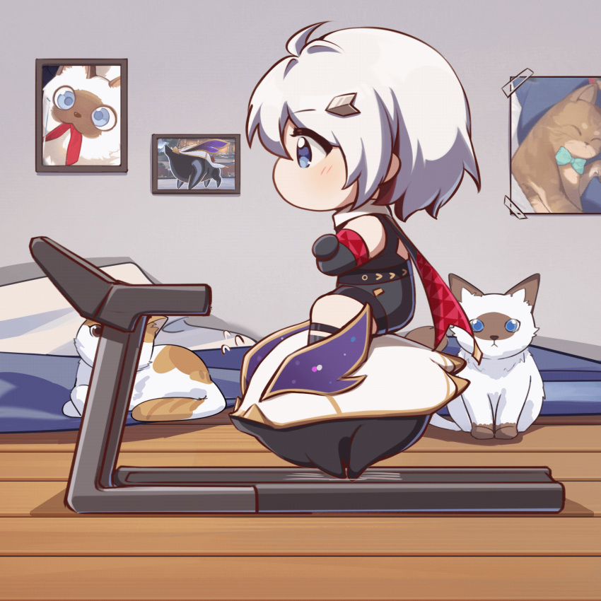 1girl 1other animated animated_gif blue_eyes cat chibi chinese_commentary commentary_request crossed_arms from_side hair_ornament hairpin highres honkai:_star_rail honkai_(series) numby_(honkai:_star_rail) picture_frame riding topaz_(honkai:_star_rail) treadmill warp_trotter_(honkai:_star_rail) white_hair xinzhizhu