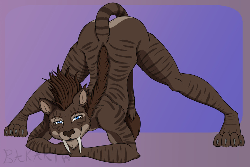 absurd_res anthro ass_up bakari_abamwemwande_(character) big_chief_bakari_(artist) blue_eyes brown_body brown_fur brown_hair butt claws fangs felid fur gradient_background hair hi_res jack-o'_pose male mammal meme mohawk nude pose saber-toothed_tiger sabertooth_(anatomy) simple_background solo spread_legs spreading striped_body striped_fur stripes teeth
