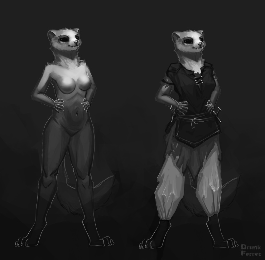 absurd_res anthro black_eyes breasts concept_art domestic_ferret drunk_ferret female greyscale hi_res ita mammal model_sheet monochrome mustelid musteline neck_tuft reference_image solo thief true_musteline tuft weapon weasel