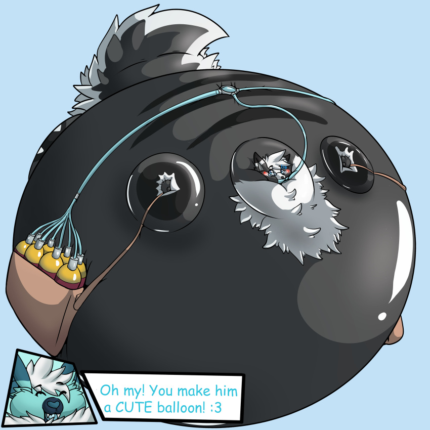 absurd_res bag belly big_belly big_tail black_body blue_background blue_body blush blush_lines body_inflation canid canine canis comic_sans dialogue domestic_dog eyewear fangs fur glasses helium_inflation helium_tank hi_res huge_belly husky inflation inflation_fetish mammal nordic_sled_dog simple_background speech_bubble spitz tail teeth text white_body white_fur wittnessu
