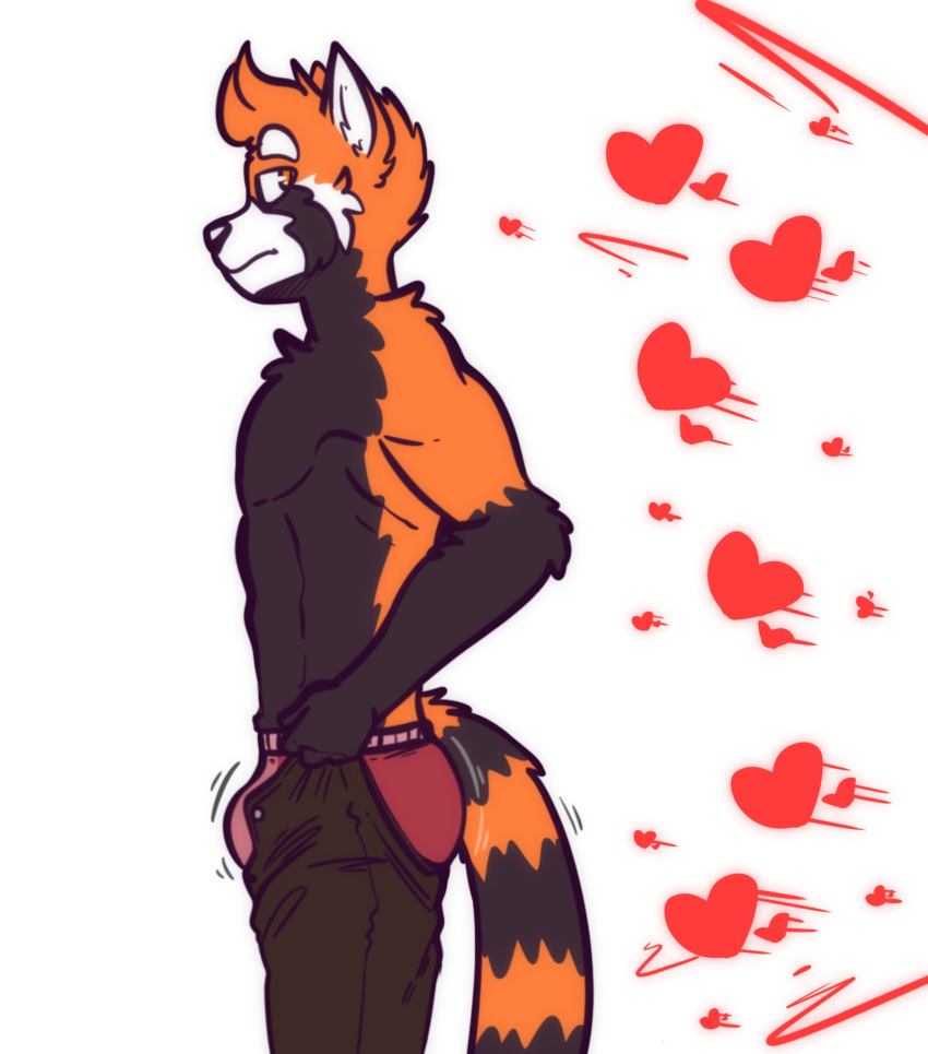 ailurid annoyed anthro ass_out bottomwear briefs bulge butt clothing digital_drawing_(artwork) digital_media_(artwork) disappointed fans fur genitals hi_res male mammal mars_(solarlewds) multicolored_body multicolored_fur muscular pants pulling_up_pants red_panda simple_background solarlewds solo tight_bottomwear tight_clothing tight_fit tight_pants_(meme) trend underwear