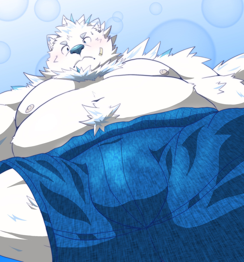 2023 anthro belly big_belly blush bulge canid canine canis clothing domestic_dog fur hi_res kemono live_a_live male mammal moobs nipples overweight overweight_male simple_background solo underwear white_body white_fur yohack yom_mido_plus