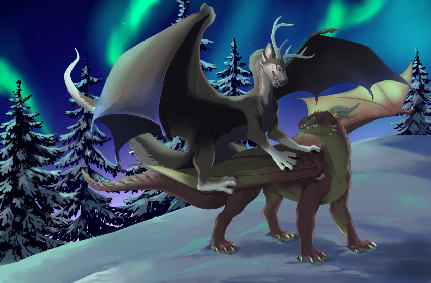 absurd_res andromorph andromorph/male antlers aurora_(phenomenon) dragon duo feral fur hi_res horn intersex intersex/male jayne_doe male shair snow soulless_lumos
