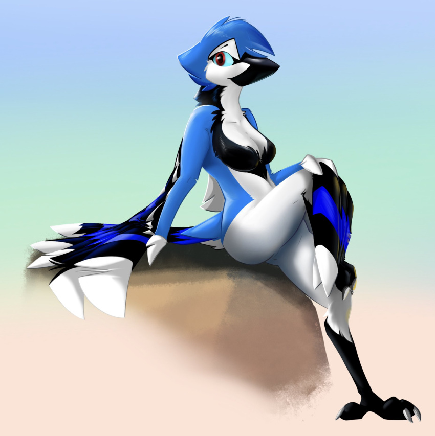 4_toes anisodactyl anthro avian avian_feet beak bird blue_body blue_feathers blue_jay breasts claws corrvo corvid crossed_legs feathered_wings feathers featureless_breasts feet female hi_res jay_(bird) mati new_world_jay non-mammal_breasts nude oscine passerine sitting solo tail_feathers toes winged_arms wings