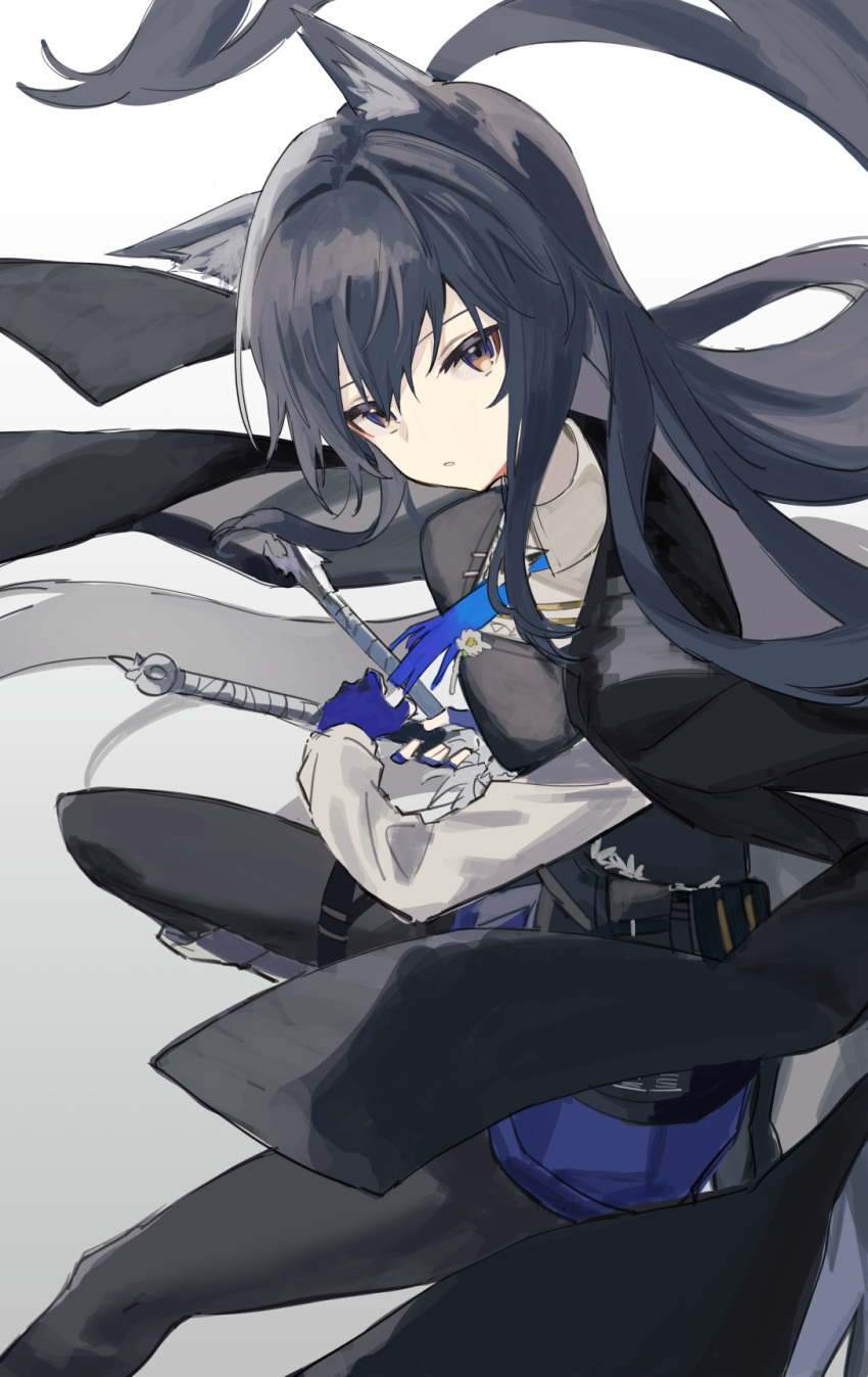 1girl animal_ear_fluff animal_ears arknights black_hair black_jacket black_pantyhose black_vest blue_gloves blue_necktie blue_shorts breasts brown_eyes collared_shirt feet_out_of_frame fingerless_gloves gloves grey_background head_tilt highres jacket jacket_on_shoulders long_hair long_sleeves looking_at_viewer medium_breasts necktie pantyhose pouch shiduki_eku shirt shorts sidelocks simple_background sketch solo tail texas_(arknights) texas_the_omertosa_(arknights) vest white_shirt wolf_ears wolf_girl wolf_tail