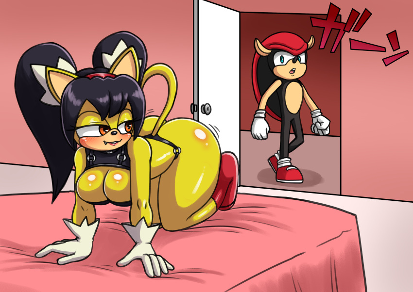 absurd_res anthro armadillo bedroom_eyes big_breasts black_hair blush breasts butt clothing duo felid feline female fur gloves hair handwear hi_res honey_the_cat male male/female mammal mighty_the_armadillo narrowed_eyes oni_senpai_art seductive sega smile sonic_the_fighters sonic_the_hedgehog_(series) surprise surprised_expression teasing xenarthran yellow_body yellow_fur