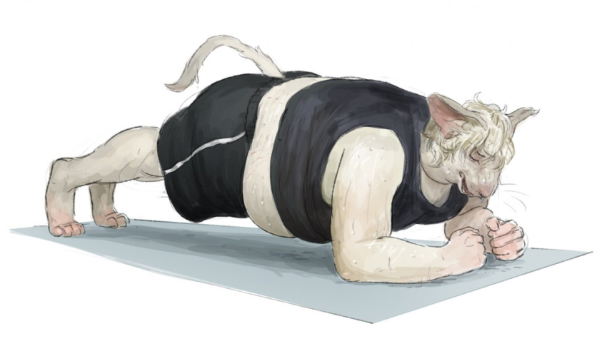 2021 anthro barefoot belly black_clothing blonde_hair bottomwear cettus clothing domestic_cat exercise eyes_closed feet felid feline felis fur gym_clothing hair hairless hairless_cat hakon_brandvold male mammal mat midriff overweight overweight_anthro overweight_male peterbald planking shirt shorts simple_background solo tank_top tiptoes topwear white_background white_body white_fur workout