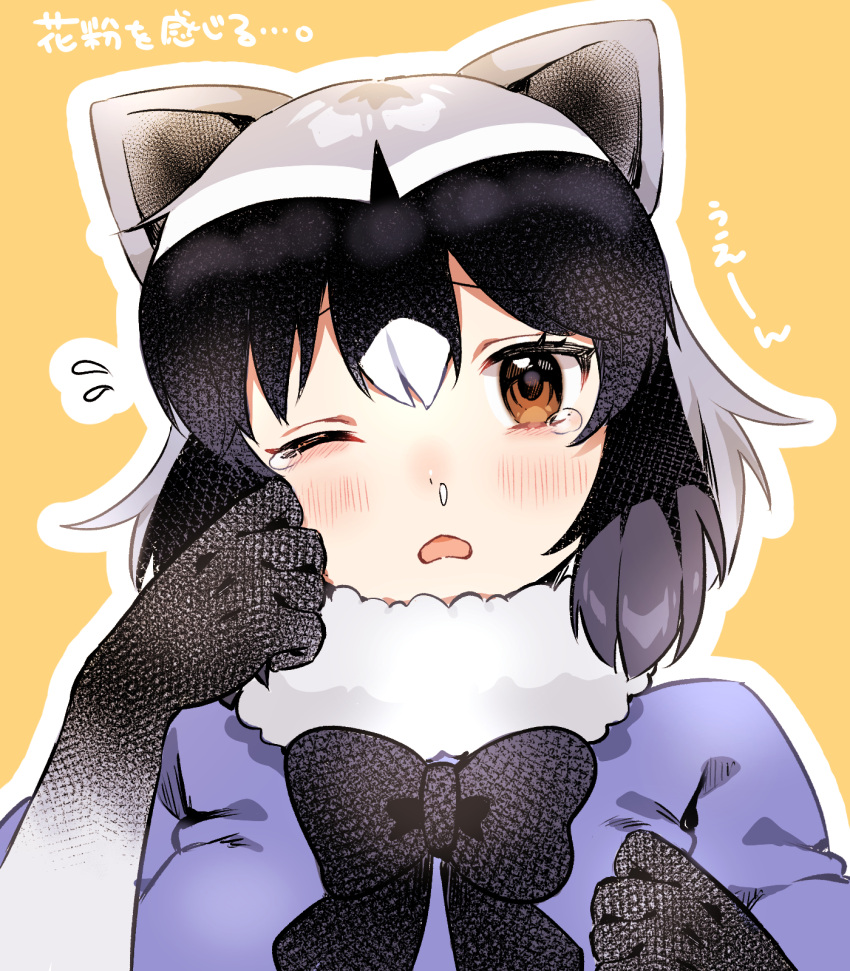 1girl animal_ears black_hair blush bow brown_eyes common_raccoon_(kemono_friends) crying fur_collar gloves grey_hair highres kemono_friends multicolored_hair one_eye_closed open_mouth raccoon_ears raccoon_girl short-sleeved_sweater short_hair short_sleeves solo suicchonsuisui sweater tears white_hair yellow_background