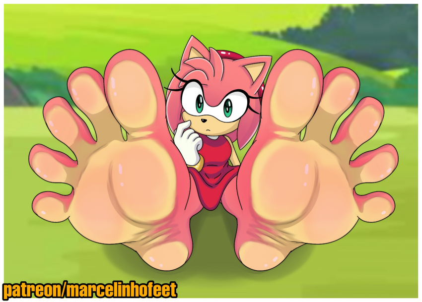 absurd_res amy_rose eulipotyphlan feet female foot_fetish foot_focus hedgehog hi_res mammal marcelinhofeet sega solo sonic_the_hedgehog_(series)