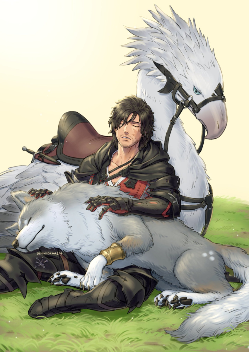 1boy ambrosia_(ff16) animal animal_ears armored_boots belt black_hair boots chocobo clive_rosfield closed_eyes facial_hair final_fantasy final_fantasy_xvi gauntlets grey_wolf highres outdoors saddle scar scar_on_face simple_background sitting sleeping stubble torgal_(ff16) wolf