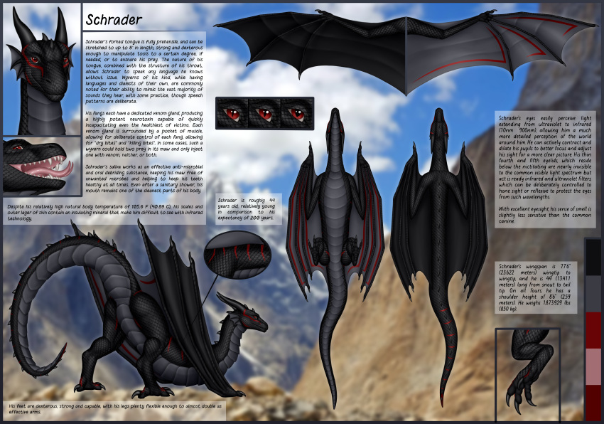 2023 absurd_res black_body black_claws black_scales claws close-up detailed detailed_scales dorsal_spikes dorsal_view dragon fangs feral forked_tongue fridaflame grey_body grey_scales hi_res horn looking_at_viewer looking_back male markings membrane_(anatomy) membranous_wings model_sheet open_mouth prehensile_feet raised_tail red_eyes red_markings scales schrader sharp_teeth smile smiling_at_viewer solo spread_wings tail teeth text tongue tongue_out ventral_view wings wings_folded wyvern