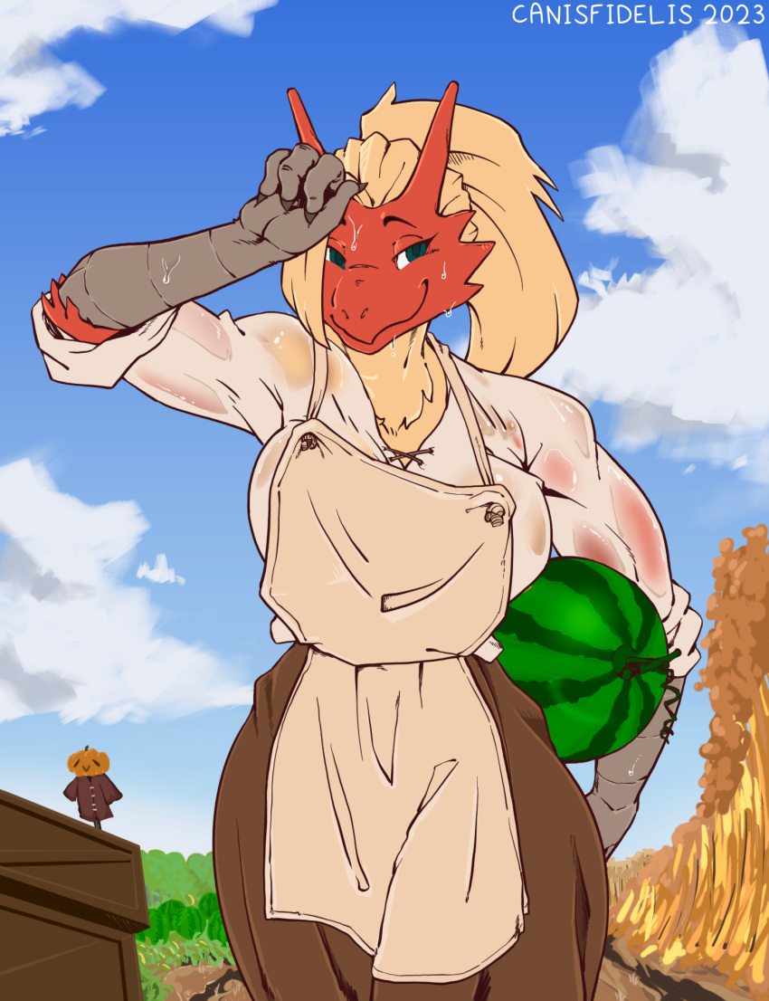 2023 anthro apron big_breasts biped blaziken blonde_hair bodily_fluids bottomwear breasts canisfidelis claws closed_smile clothed clothing cloud day eyebrows female food front_view fruit generation_3_pokemon hair hi_res holding_food holding_fruit holding_melon holding_object holding_watermelon long_hair looking_at_viewer melon mouth_closed nintendo outside pants plant pokemon pokemon_(species) ponytail red_body shirt smile solo standing sweat topwear watermelon white_apron white_clothing white_shirt white_topwear