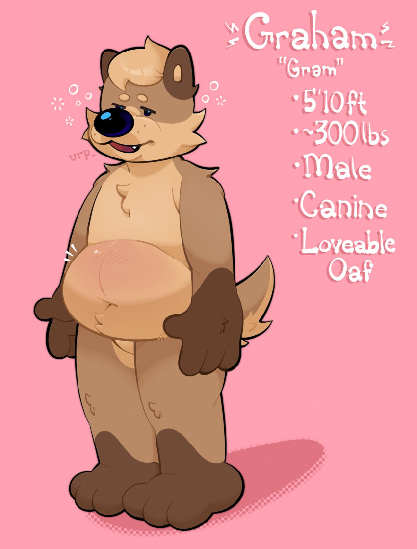 3_toes 4_fingers anthro beady_eyes belly belly_overhang black_nose brown_body brown_fur burping canid canine character_name cheek_tuft chest_tuft countershade_face countershade_fur countershade_tail countershade_torso countershading deep_navel english_text eyebrows facial_tuft featureless_crotch feet fingers fur graham_(gramgastronomy) gramgastronomy hair hi_res male mammal model_sheet navel nude open_mouth overweight overweight_anthro overweight_male pink_background simple_background snaggle_tooth snout solo standing tail tan_body tan_countershading tan_hair text three-quarter_view toes tuft