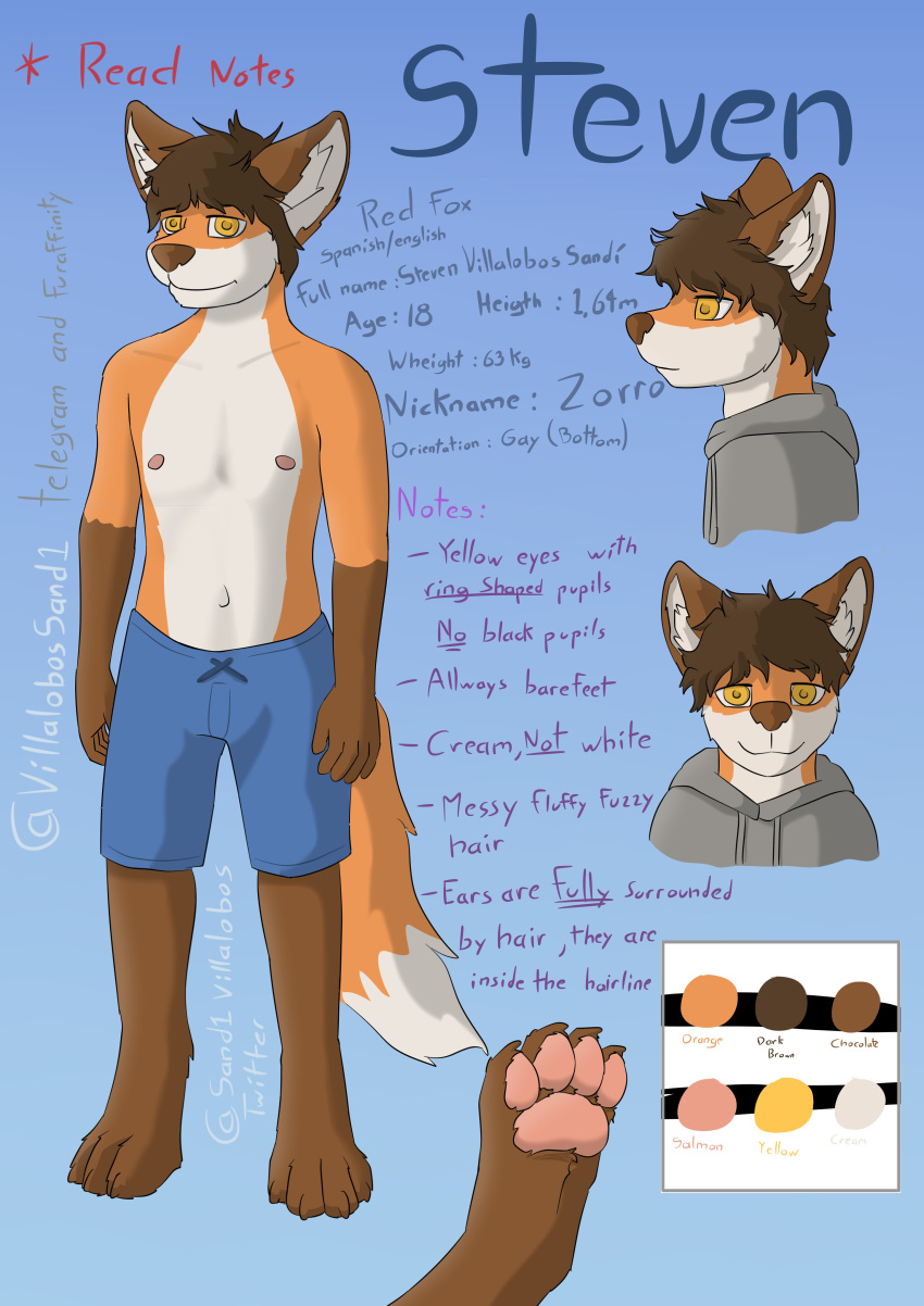 absurd_res brown_fur canid canine clothed clothing fluffy_hair fox fur fuzzy hair hi_res hoodie mammal model_sheet orange_fur pawpads paws red_fox shorts signature spanish stated_homosexuality steven_(villalobossand1) tan_fur text topless villalobossand1 yellow_eyes