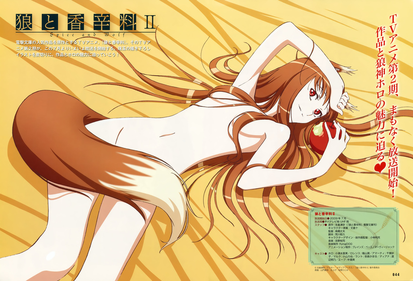 absurdres animal_ears apple arm_up armpits bangs bite_mark breasts brown_hair clenched_hand closed_mouth copyright_name dutch_angle food from_above fruit groin hair_censor hair_over_breasts hair_over_crotch hair_spread_out hand_on_own_head highres holding holding_food holding_fruit holo huge_filesize light_smile logo long_hair looking_at_viewer lying navel nude official_art page_number red_eyes scan small_breasts smile solo spice_and_wolf spice_and_wolf_ii tail tail_censor translation_request very_long_hair wheat wolf_ears wolf_tail yamakado_ikuo