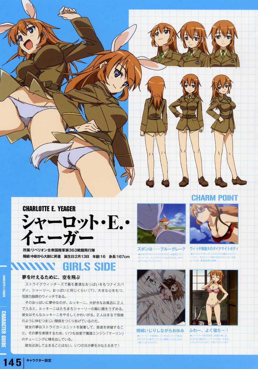 absurdres animal_ears artist_request ass ass_visible_through_thighs blue_eyes breasts brown_hair bunny_ears character_sheet charlotte_e_yeager highres huge_filesize large_breasts long_hair looking_back military military_uniform multiple_views orange_hair panties strike_witches tail translated turnaround underwear uniform world_witches_series