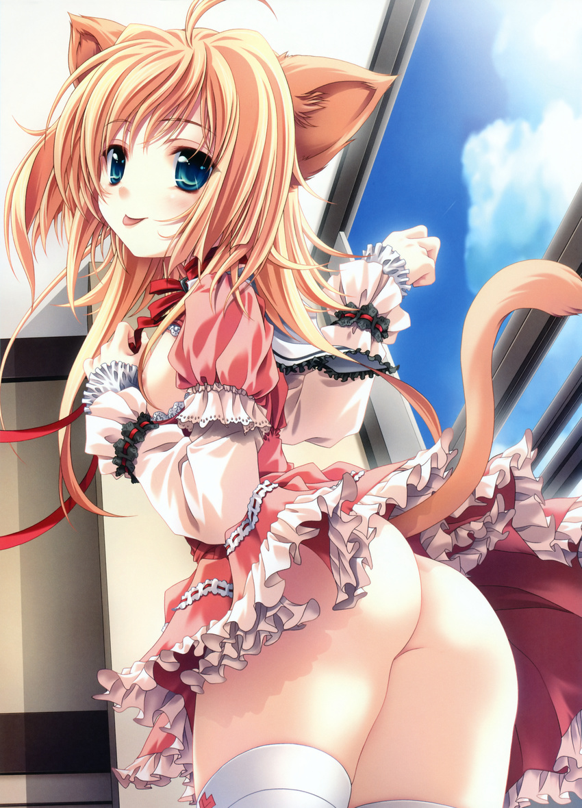 absurdres ahoge animal_ears areolae blonde_hair blue_eyes breasts cat_ears cat_tail copyright_request frills from_behind highres huge_filesize long_hair medium_breasts miyama-zero no_panties open_clothes open_shirt shirt solo tail thighhighs tongue upskirt