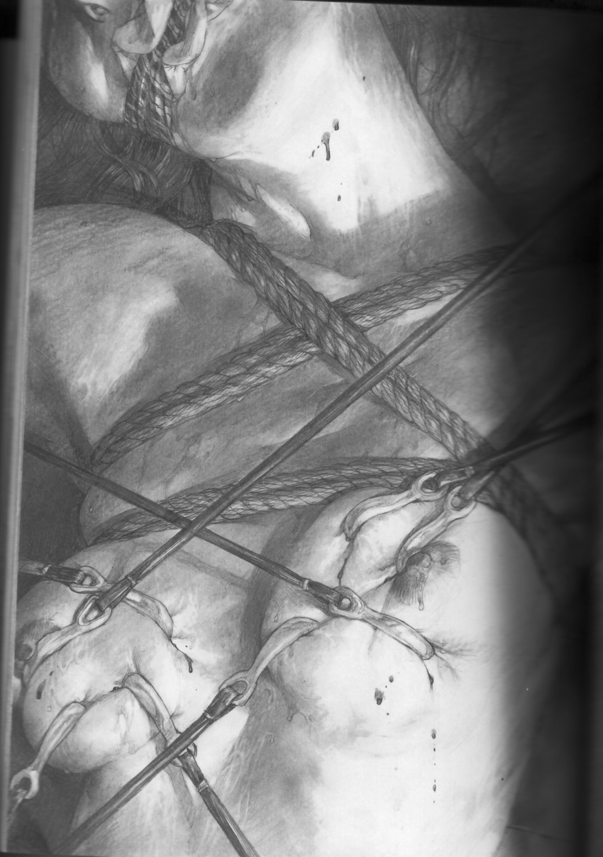 bdsm blood bondage bound breast_torture breasts gag guro highres hiroaki_samura hook monochrome nipples pencil realistic rope tears torture