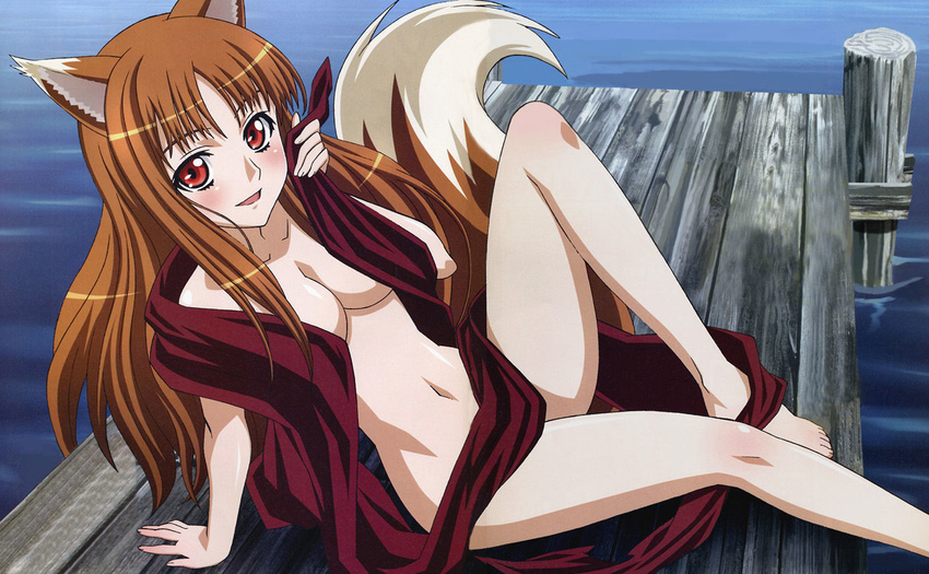 :d animal_ears arm_support barefoot blush breasts brown_hair cleavage convenient_censoring dock highres holo knee_up large_breasts leaning_back long_hair looking_at_viewer navel non-web_source nude open_mouth outdoors red_eyes shinohara_kenji smile solo spice_and_wolf tail very_long_hair water wolf_ears wolf_tail