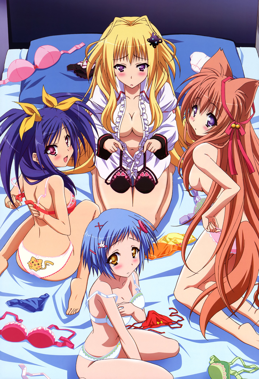 absurdres animal_ears barefoot blonde_hair blue_hair blush bra breasts brown_hair cleavage highres kawai_ameri kisaragi_mifuyu lingerie long_hair medium_breasts mito_mashiro multiple_girls noda_megumi_(artist) non-web_source nyantype official_art open_clothes open_shirt panties purple_eyes scan shirt short_hair sideboob small_breasts takanashi_yumina tayutama topless twintails underwear underwear_only undressing