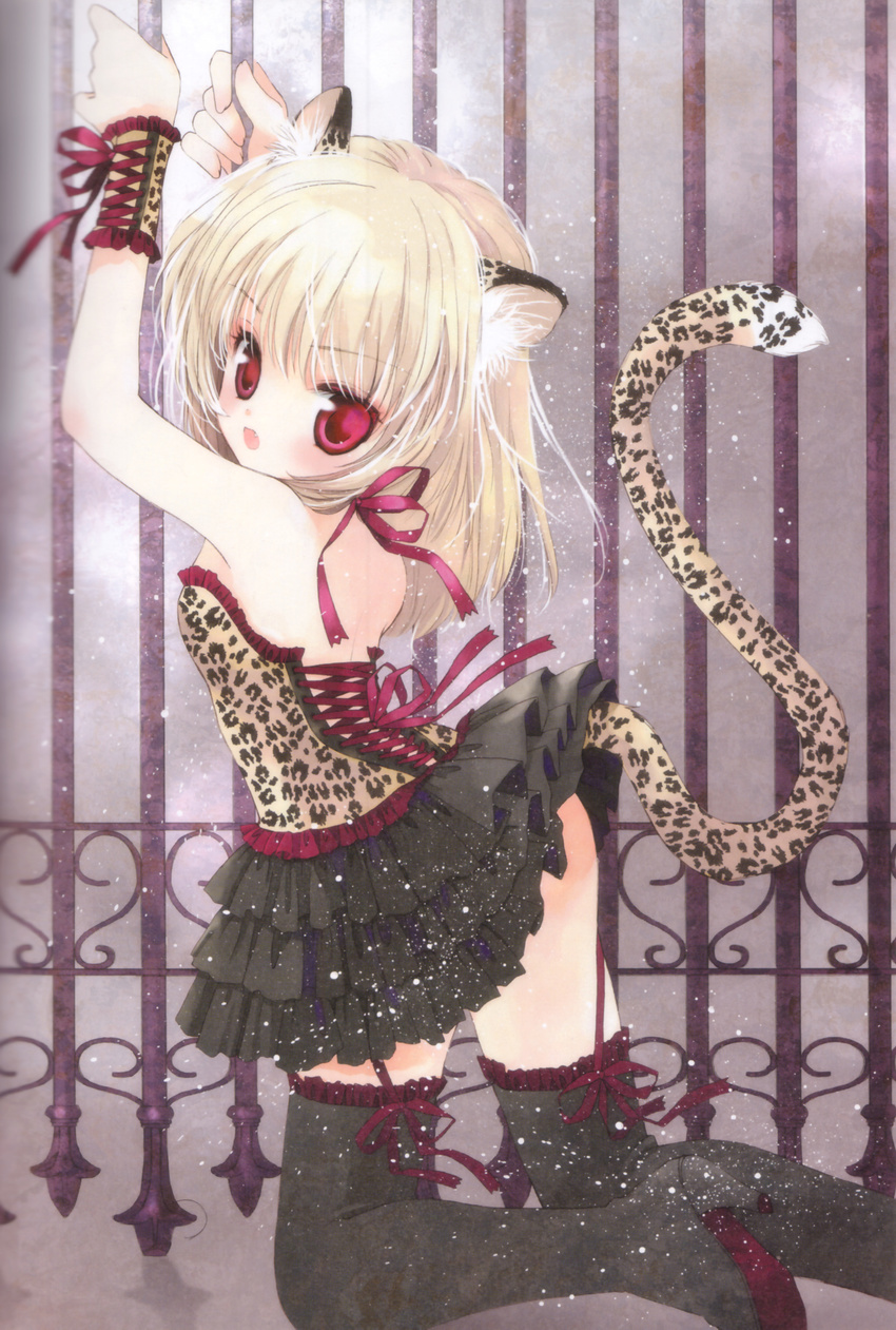 absurdres animal_ears animal_print blonde_hair blush cat_ears copyright_request corset hato_rami highres kneeling leopard_print looking_back open_mouth red_eyes ribbon solo tail thighhighs
