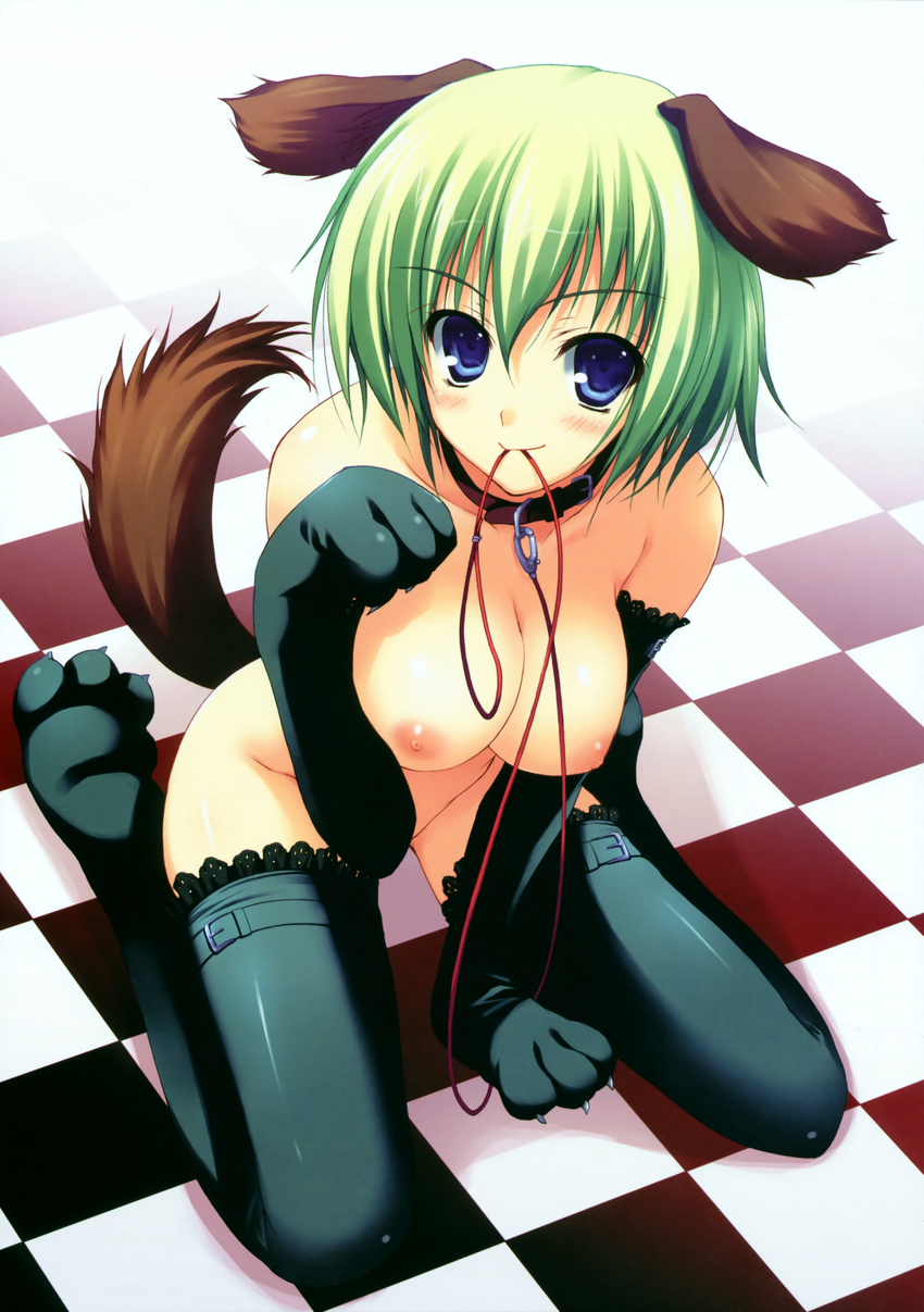 absurdres animal_ears blue_eyes blush breasts dog_ears dog_tail elbow_gloves gloves green_hair highres kneeling large_breasts leash mouth_hold nipples no_bra no_panties original paw_gloves paw_shoes paws shoes short_hair smile solo tail thighhighs tomose_shunsaku