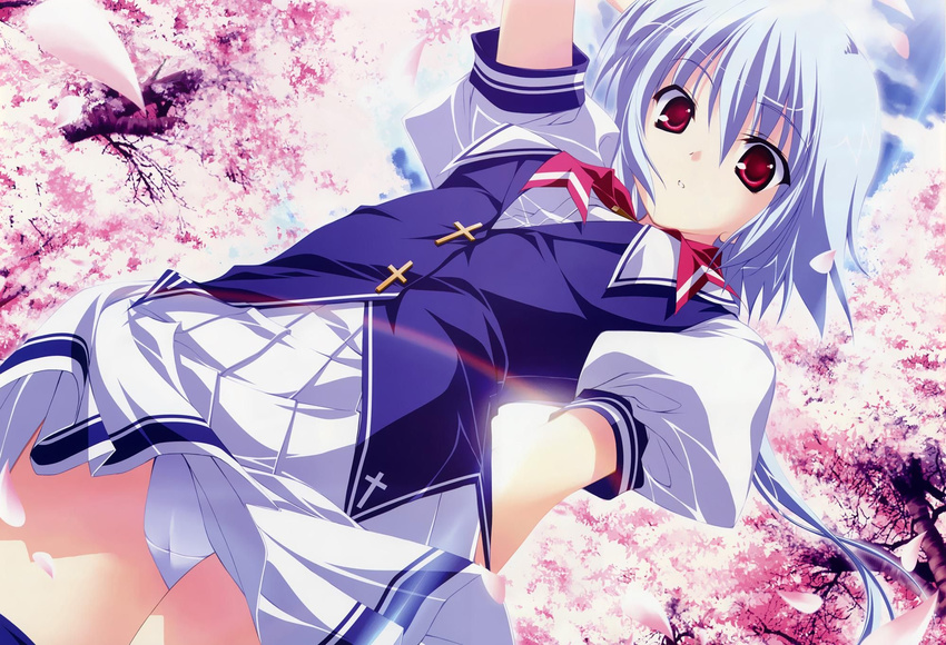 blue_hair cherry_blossoms from_below fumio_(ura_fmo) highres kuu_(lyrical_lyric) lyrical_lyric panties pantyshot red_eyes school_uniform short_hair solo underwear white_panties