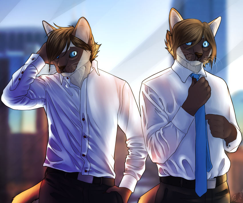 2019 anthro arno blue_eyes cato clothed clothing detailed_background digital_drawing_(artwork) digital_media_(artwork) domestic_cat duo elle-lui-eux elleluieux felid feline felis fully_clothed hair hi_res invalid_tag male mammal necktie painting shirt siamese whiskers white_clothing white_shirt